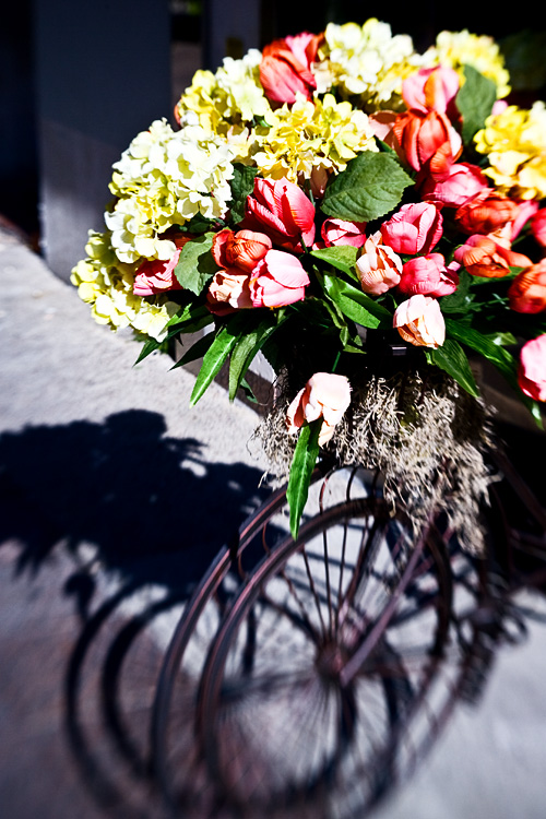 Bouquet pour le Biciclette
